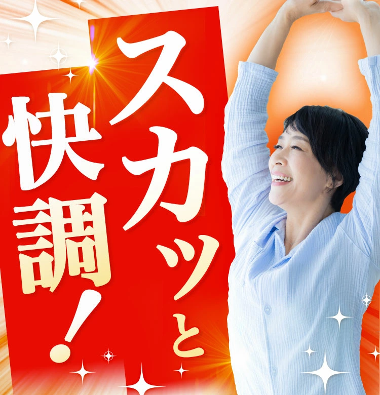 爽快恵茶　お得